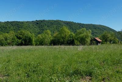 Casa la ?ara cu teren , zona lini?tita - 1