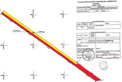 TARTASESTI - Str. Giurgiului, 20.000 mp. teren din care 12.500 in INTRAVILAN - 5