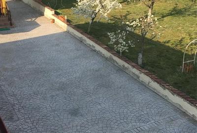 Casă cu 6 camere în Făclia - 1