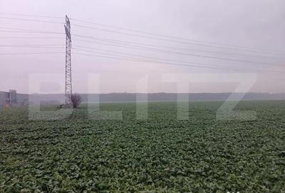 Teren de 15000 mp, în Păulești