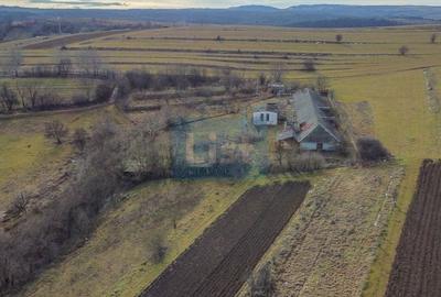 Teren Construcții intravilan de 7400 mp, în Păniceni - 8