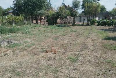 Casă cu 5 camere în Racovița - 1
