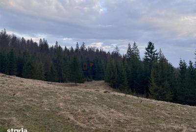 Teren de 1000 mp, în Mălini - 2