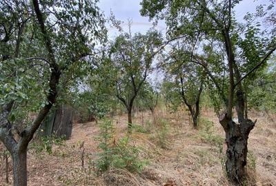 Teren 3000mp intravilan in Mavrodolu, AG - 4