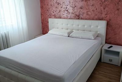 Apartament cu 2 camere semidecomandat în Cetate - 6