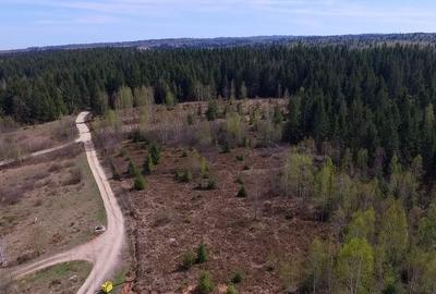 Teren intravilan 2,145mp Calatele Padure, Sat de  Vacanta - 9