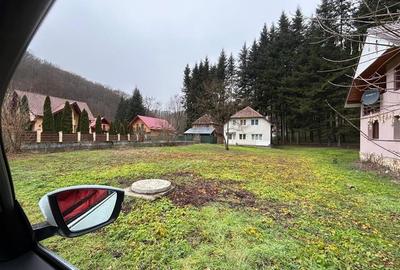 Teren Construcții intravilan de 941 mp, în Pădurea Neagră