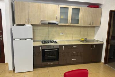 Apartament cu 2 camere semidecomandat, mobilat în Industrial Vest - 8