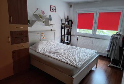 Titan, pe Liviu Rebreanu, 5 minute metrou si parc IOR, farmacia TEI, - 13