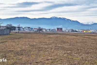 Teren de 1000 mp, în Tractorul - 4