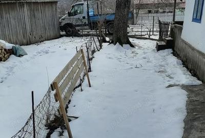 Casă cu 3 camere cu Teren 716 Mp în Buda - 4