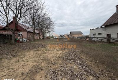 Spațiu comercial, în Paleu - 7