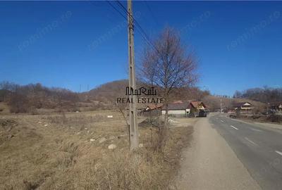 Teren intravilan in Brad - 2