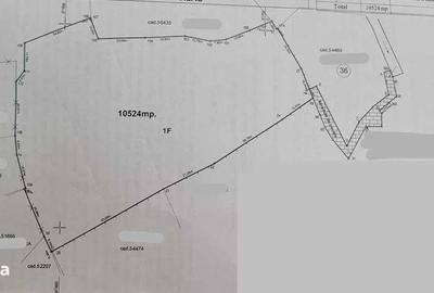 Teren de 10524 mp, în Măguri - 4