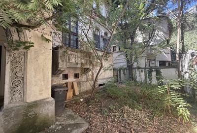 Apartament spatios in vila deosebita - zona Gradina Icoanei - 7