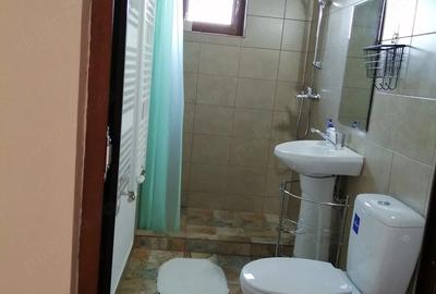 Casă cu 6 camere cu Teren 420 Mp în Paltin - 7