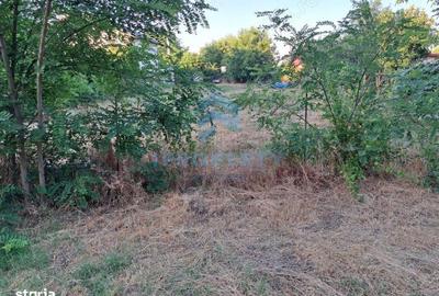 Teren de 732 mp, în Copăceni - 2