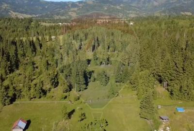 Teren de 9685 mp, în Neagra - 7