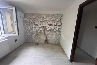 Vila deosebita central Piata Libertatii - 21