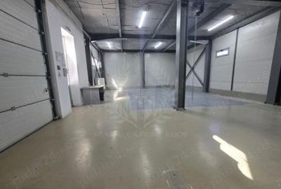 CLADIRE COMERCIAL - INDUSTRIALA // 250 MP // P+1 - 5