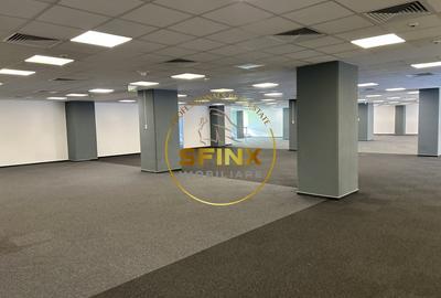 Birou, de 532 mp, în Regie - 4