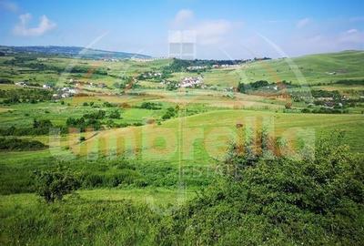 Teren de vanzare intravilan  in Cluj-Napoca, Strada Soporului 11.594 mp