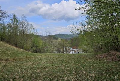 Teren intravilan 1454 mp la marginea padurii zona locuita de case! - 2