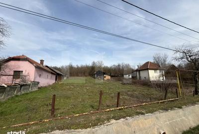 Spațiu comercial, în Rasova - 1