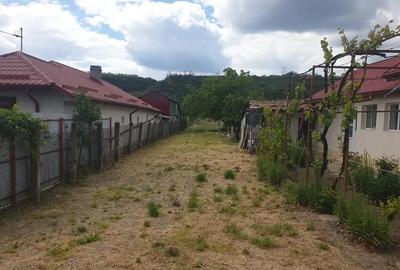 Casă cu 4 camere în Topliceni - 2