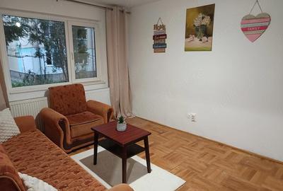 Apartament cu 2 camere semidecomandat în Boul Roșu - 7