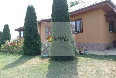 Casă individuală cu 3 camere cu Canalizare în Hănțești