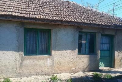 Casă cu Teren 300 Mp în Amara - 4