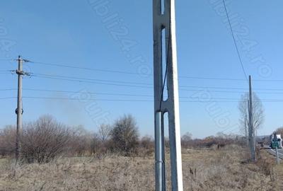 Teren de 20000 mp, în Valea Ursului (Tâmna) - 7