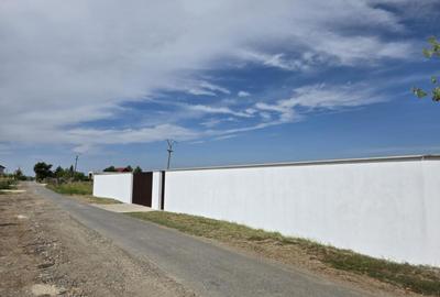 Teren de 5000 mp, în Snagov - 4