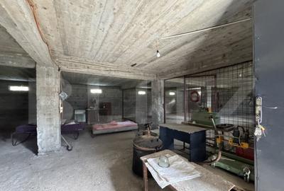 Casa de vanzare, 280 mp utili, 480 mp teren, Plaiul Vulcanes - 21