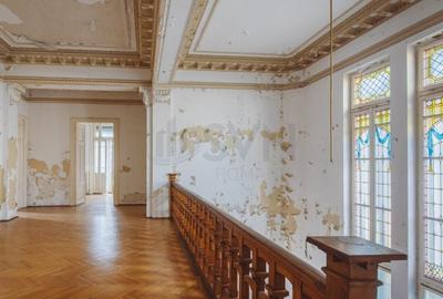 REV2000724 Vila deosebita Lascar Catargiu gradina mare - 9