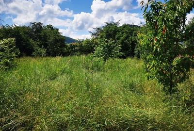 Casă cu 4 camere în Rășinari - 7