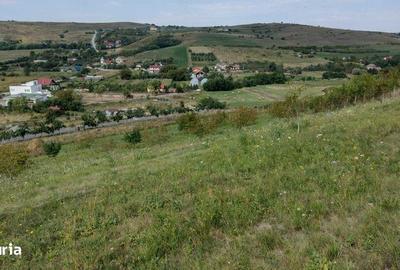 Teren de 16500 mp, în Sopor - 2