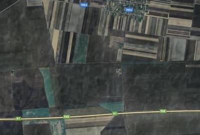 Teren agricol 10 ha, Peregul Mare, langa autostrada - 1
