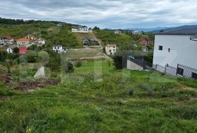 Casa cu 5 camere, 300 mp, teren 27 ari, Valea Rusului - 32