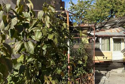 Casa ultracentral ,Bulevardul Carol I , nr 95 - 5