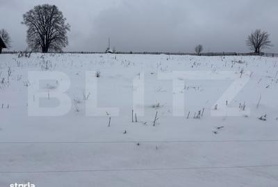 Spațiu comercial, în Coșna - 3