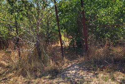 Casa si teren de vanzare in Peris Ilfov - 2