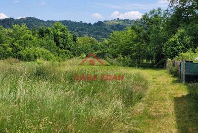 Casă cu Teren 3399 Mp în Brebu - 1