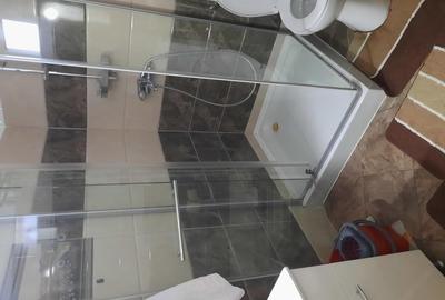 Casa zona ultracentrala pe un nivel cu 1000 mp teren - 2