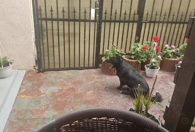 Casă cu 3 camere în Central - 4