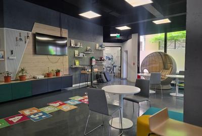 Spațiu comercial, de 2,444 mp, în Grădina Icoanei - 3