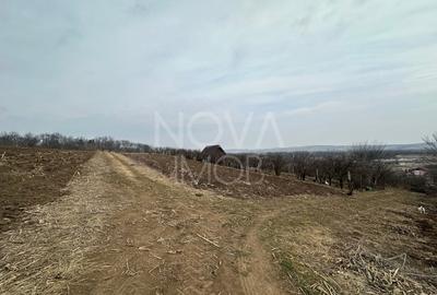 Teren Construcții intravilan de 1000 mp, în Vest - 2