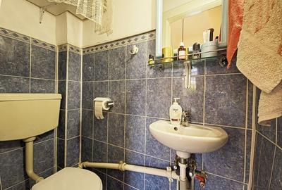 Casa 3 camere, intr-un imobil cu 2 apartamente, zona Parcului Central - 25