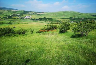 Teren de vanzare intravilan in Cluj-Napoca / Strada Soporului 1.755 mp